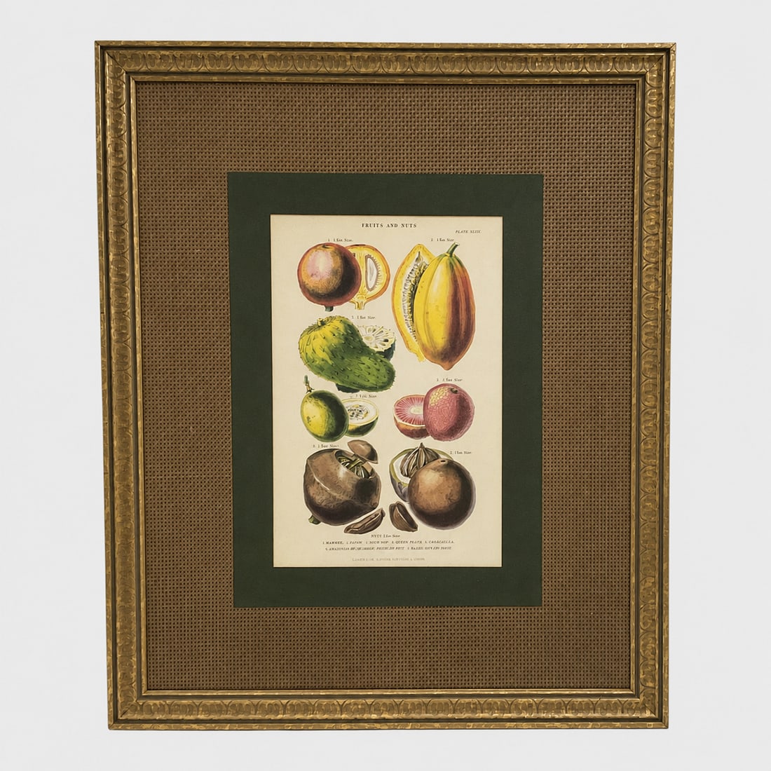 Fruits and Nuts Botanical Plate by Unknown Artist Offset Lithograph (1 of 5)