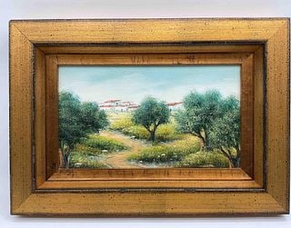 Mediterranean landscape with olive trees (1 of 2)