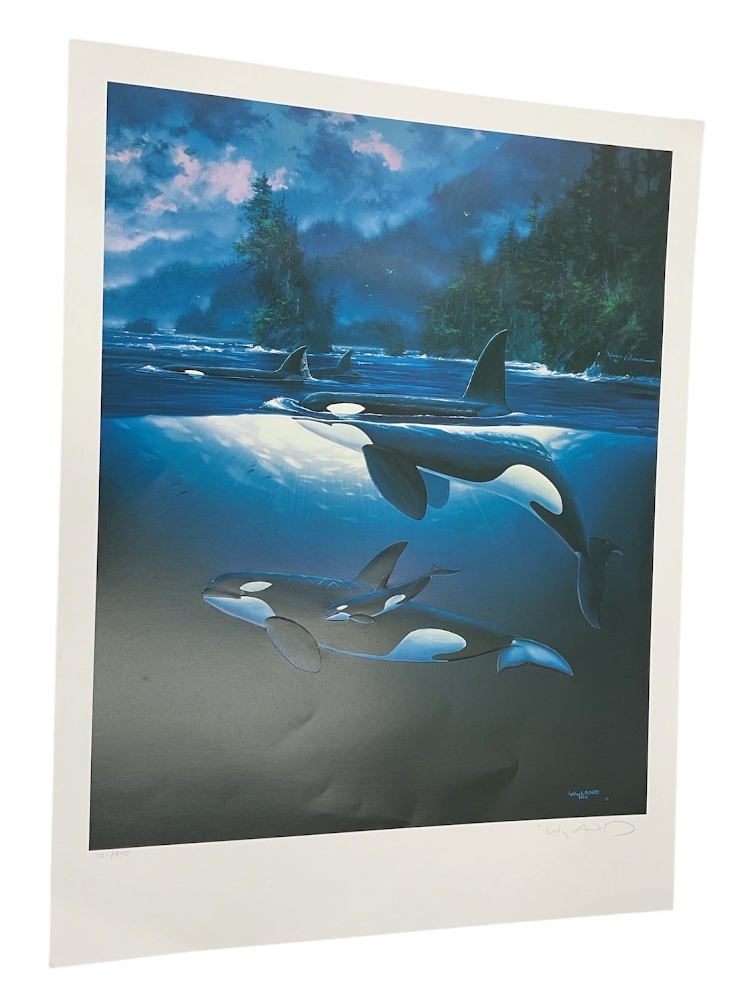 Robert Wyland and James Coleman Northern Waters L.E. Lithograph 721/950 W/ COA (1 of 6)
