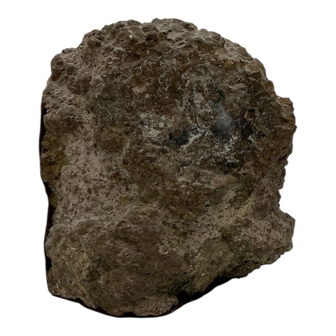 Polished Geode Specimen - 4