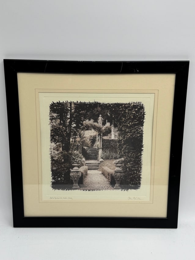 Orto Botanica by Alan Blaustein (American, b.1958) Photograph (1 of 3)