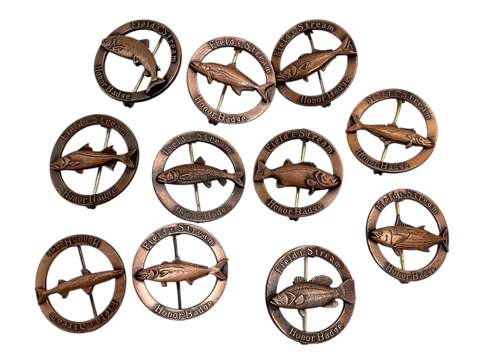 Collection of Vintage Bronze-Tone Fish & Marine Life Brooches: Collection of 11 vintage-style bronze-tone figural brooches featuring assorted fish and marine life designs. Each piece is formed within a circular frame and depicts a different aquatic species in