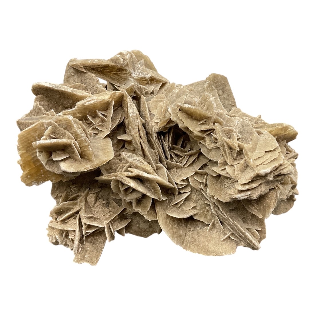 Desert Rose Crystal Specimen - 2