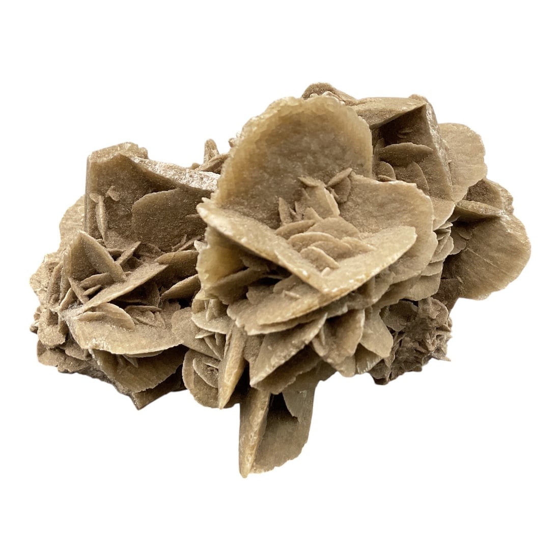 Desert Rose Crystal Specimen - 3