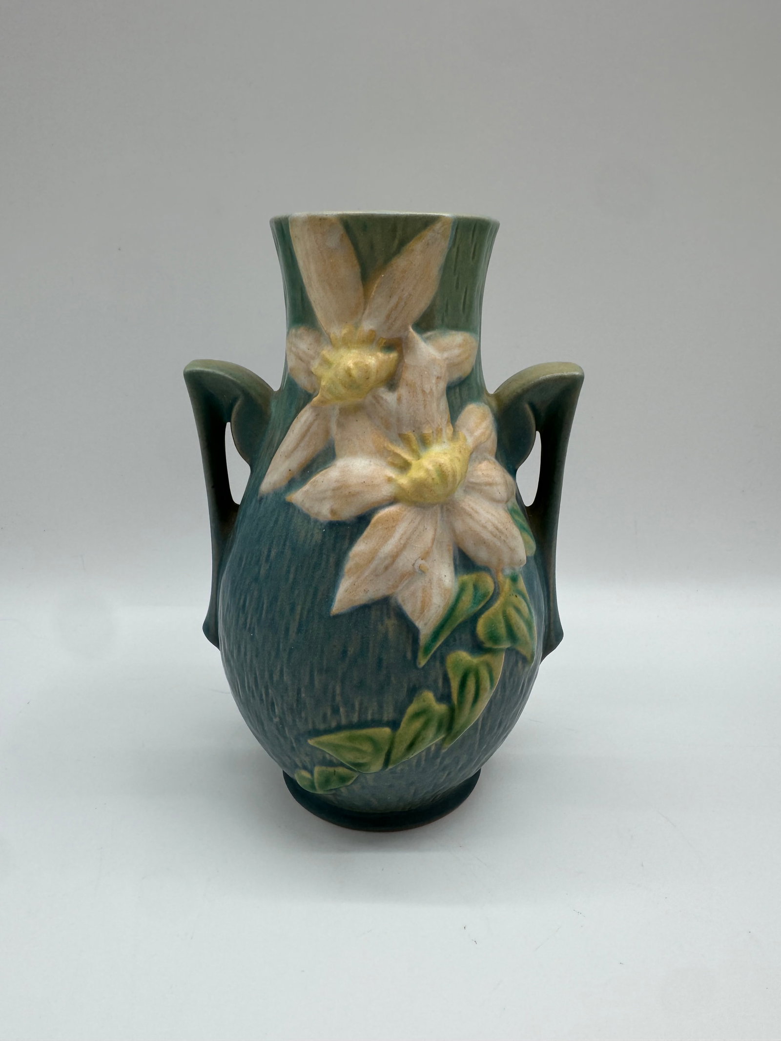 Vintage Roseville Pottery Vase with Floral Design: Vintage Roseville Pottery vase featuring a raised floral design with leaves on a textured blue-green ground. The vase has a bulbous body with a flared rim and two stylized handles. Marked on the base.