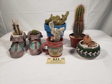 6 - Planters w/Cactus