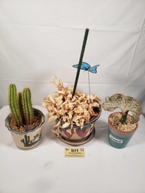 3 - Potted Cactus