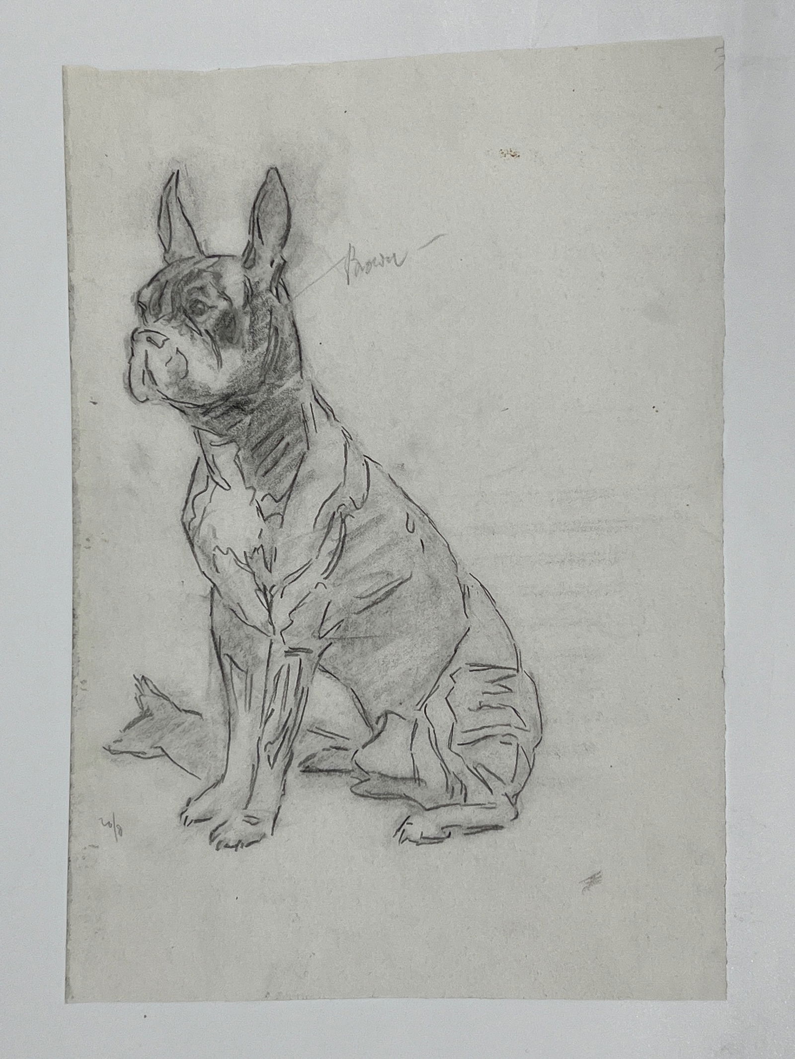Albert Reid ‘Boston Bull Terrier Dog’ Original Sketch 754H: Albert Reid ‘Boston Bull Terrier Dog’ Original Sketch 754H MEDIUM: Graphite on Lightweight Paper - a velum-like paper DIMENSIONS: Sight 8 x11 inches CIRCA: 1930-50 ATTRIBUTION: Albert T. Reid/Amer