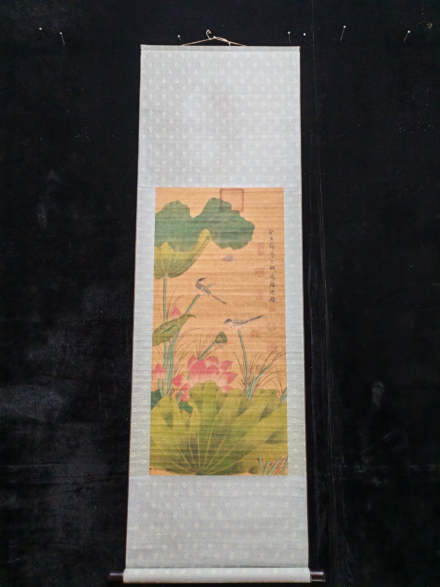 Shen Quan's Flower and Bird Paintings: Hand-painted three-foot hanging scroll: Flowers and Birds (actual photograph) Artist: Shen Quan Material: Xuan paper Mounting size: 162 x 53 cm Painting core size: 89 x 41 cm Provenance:Private collec