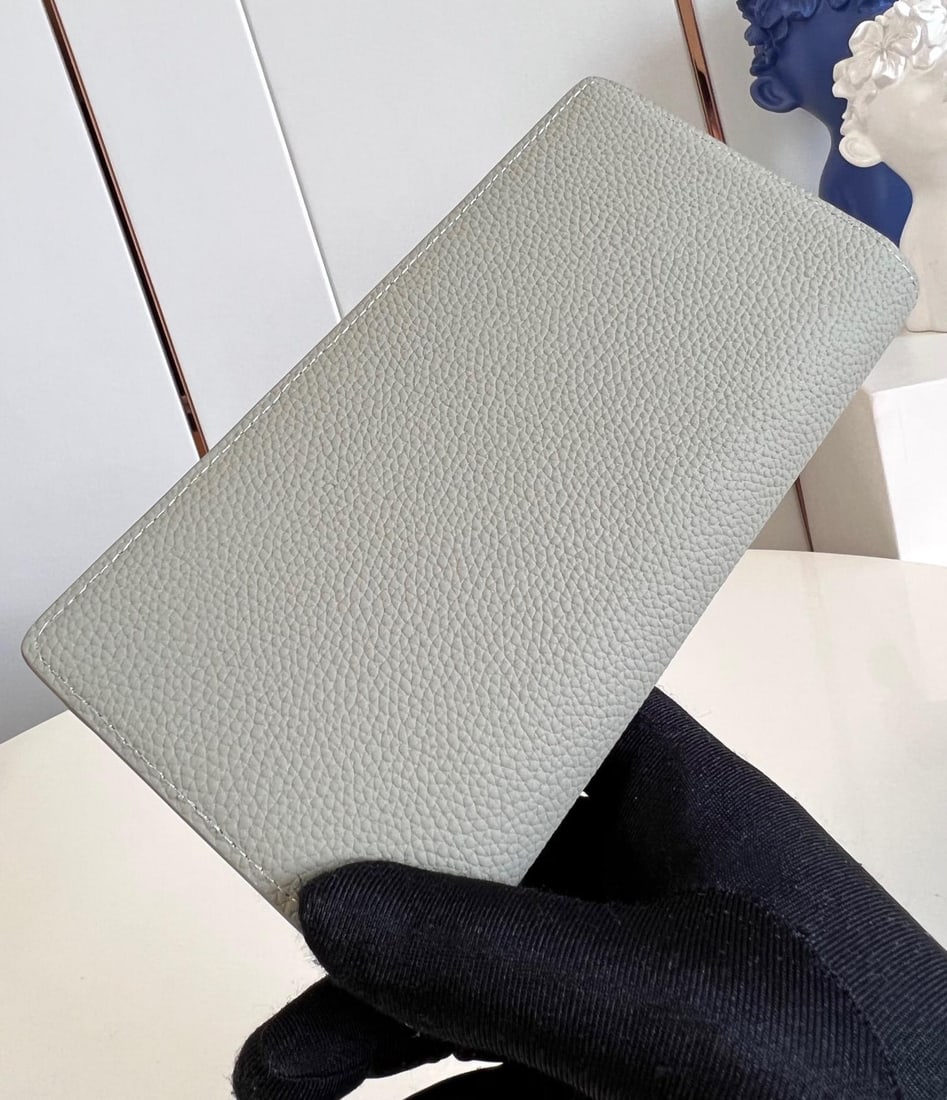 LV Aerogram Brazza - 3