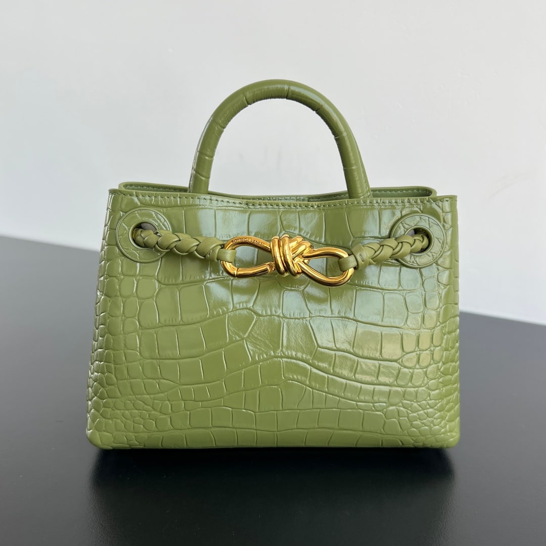 Bottega Veneta Andiamo Mini (1 of 8)