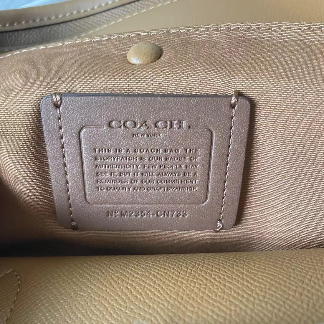COACH - 6