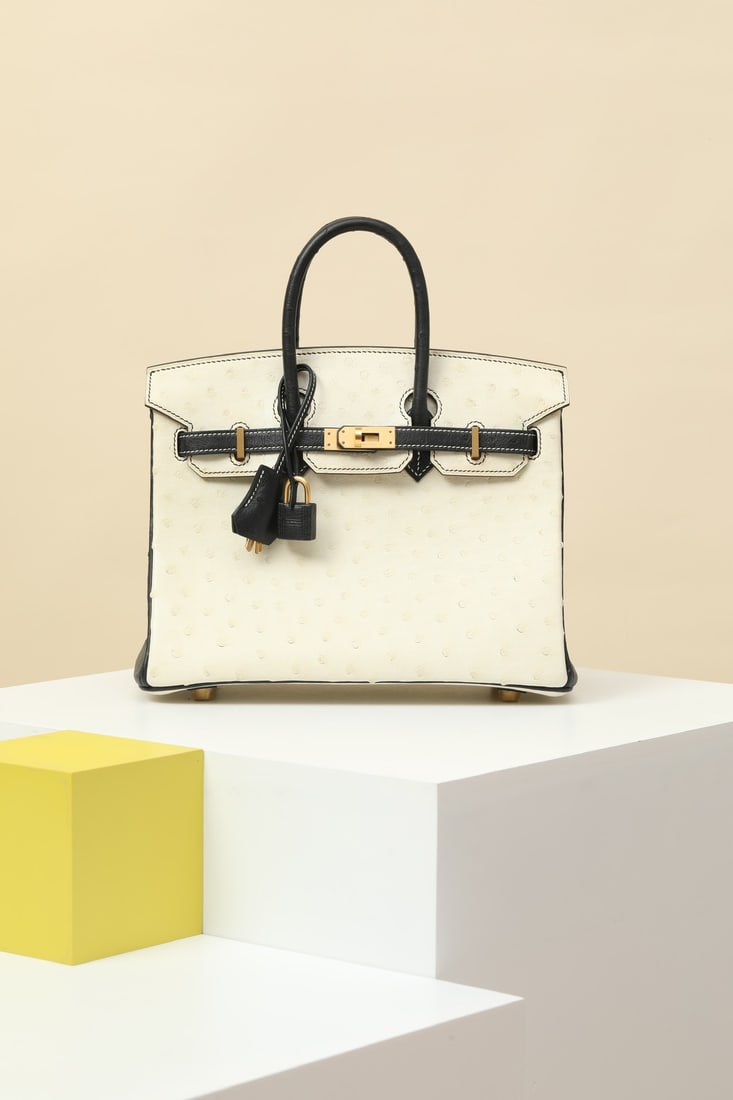 Hermes: Model: BK25 Code: BK250820 Color: 8L Glacier White/89 Black Dimensions: Length 25cm x Depth 20cm x Width 13cm Material: Ostrich Leather (Emboss Imprint) Birkin 25 Ostrich Handbag Interior Zipper