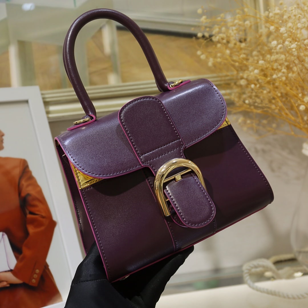Delvaux Brillant (1 of 8)