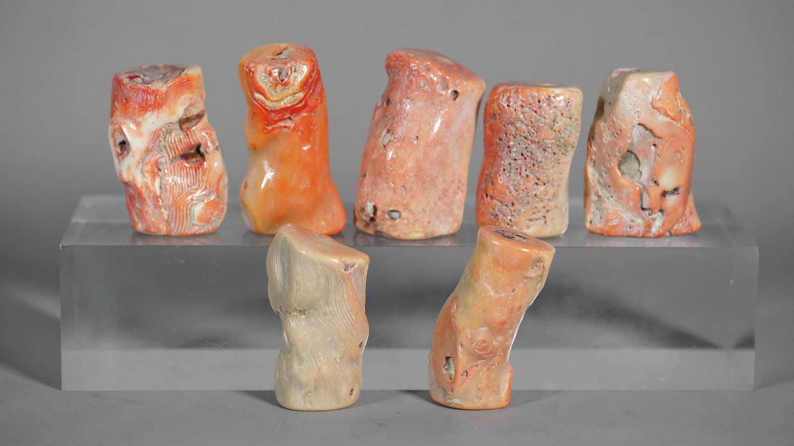 Set of Seven Pieces Old Natural Coral Branch (1 of 7)