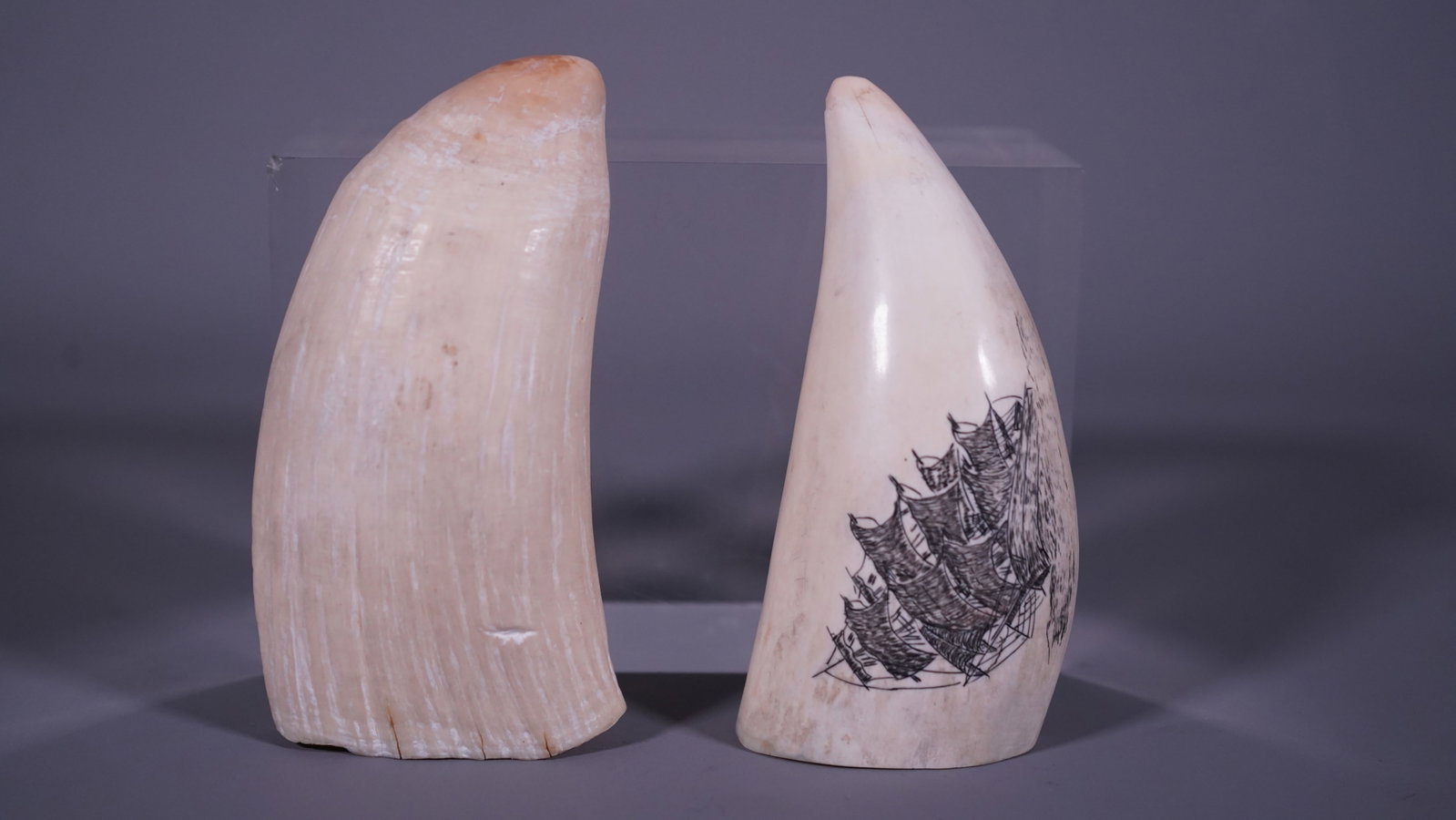 Two Old Natural Whale Teeth with Ink Painted Sailboat Scene: Two Old Natural Whale Teeth with Ink Painted Sailboat Scene. Measure approx. 5"L x 2"1/2W x 1"1/2D and 5"L x 2"1/4W x 1"1/2D; Total weight 556.6g, In good condition, (Stand Not Included)