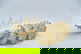 item-208833169=8