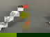 item-208833224=2