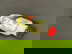 item-208833224=6