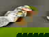 item-208833224=7