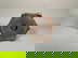 item-208833227=5