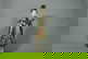item-208833315=1