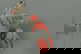 item-208833337=10