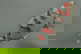 item-208833337=12