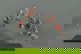 item-208833337=1
