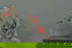 item-208833337=3
