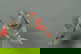 item-208833337=5