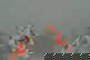 item-208833337=7