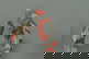 item-208833337=9
