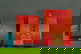 item-208833405=19