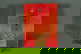 item-208833405=1