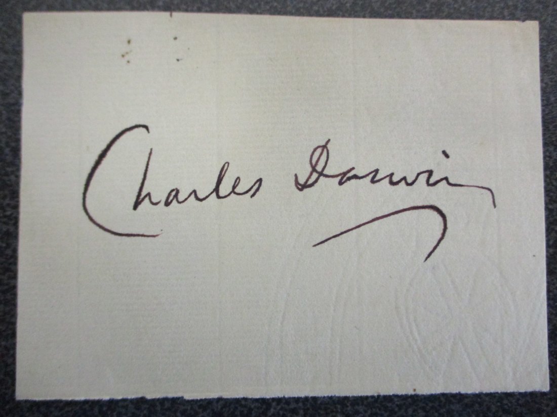 Charles Darwin Signed Cut Signature (1 of 5)