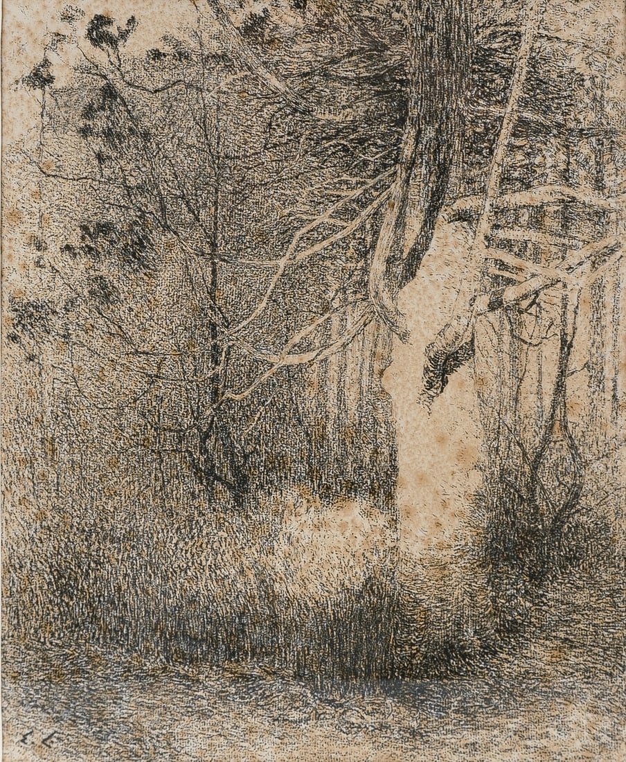 Emile CLAUS (1849-1924) "The Sunny tree" - a Belgian lithograph on paper: Emile CLAUS (1849-1924) "The Sunny tree". A Belgian lithograph on paper. Early 20th century. H: 52 - W: 42 cm