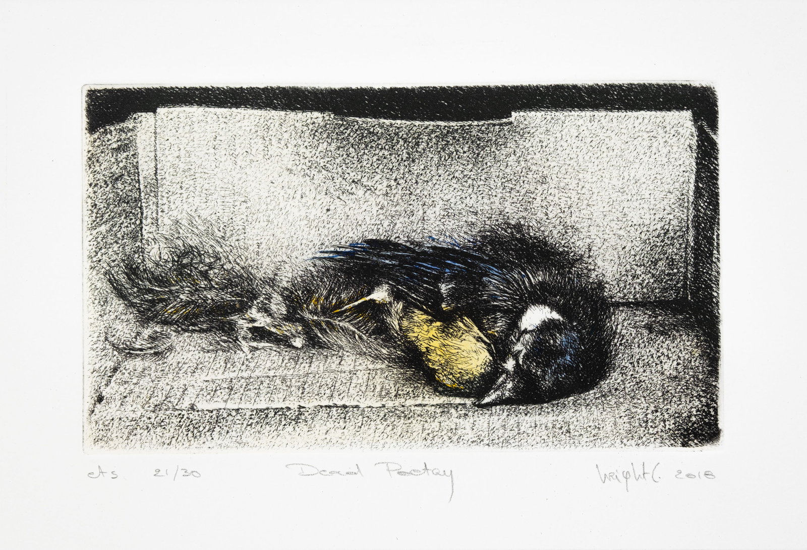 Cindy WRIGHT (1972-) "Dead Poetry", a copper etching engraving on paper: Cindy WRIGHT (1972-) "Dead Poetry". A copper etching engraving on paper. Numbered: 21/30. 20th century. H: 10 - W: 17 cm