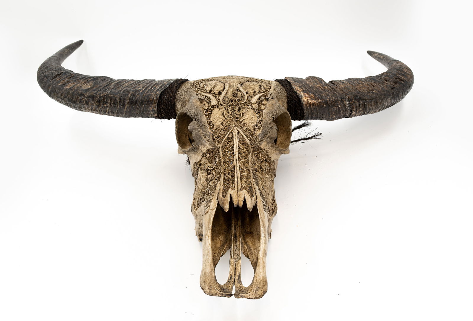 An antique Balinese style carved decorated Buffalo skull with horns: An antique Balinese style carved decorated Buffalo skull with horns. 20th century. H: 85 - W: 85 cm