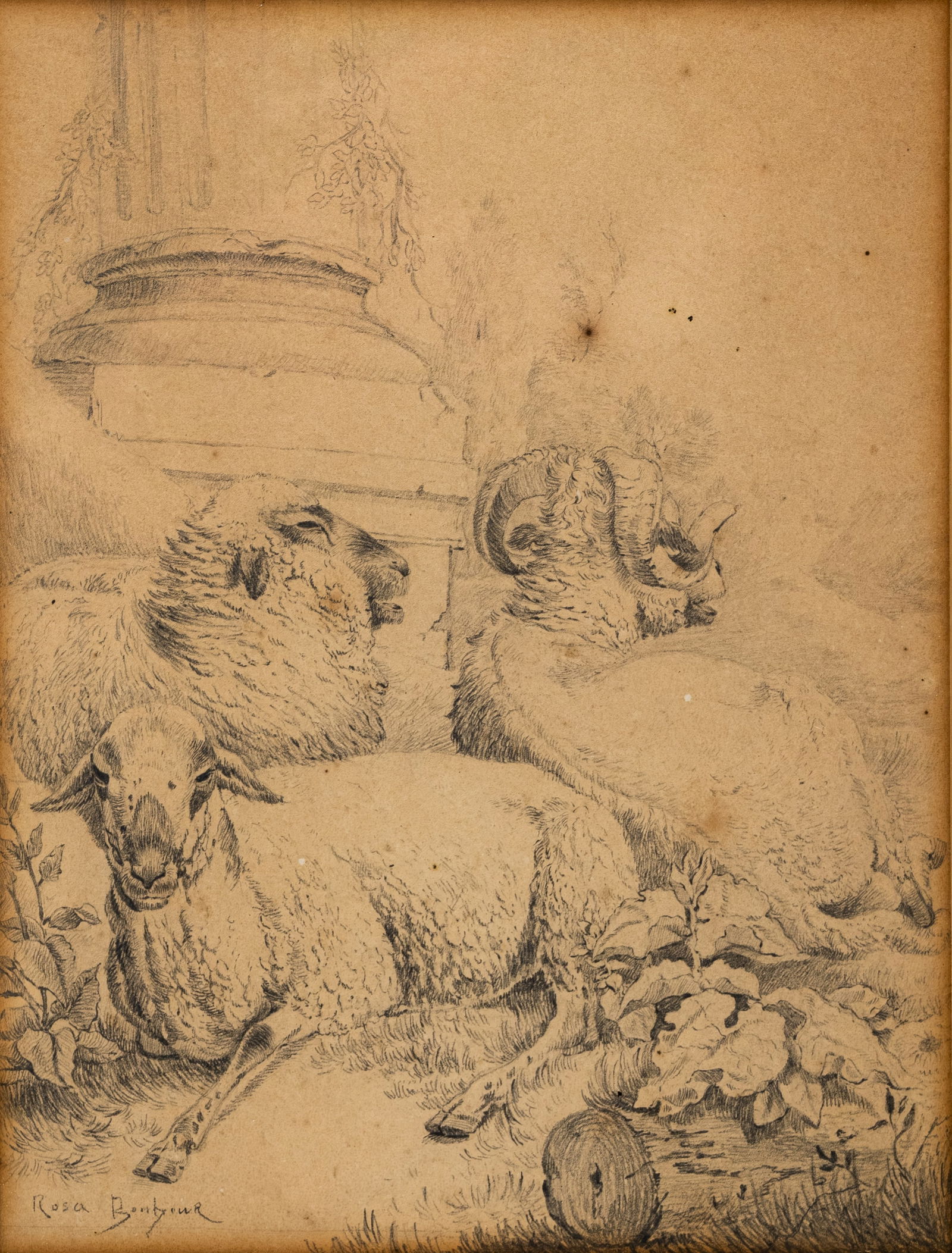 Rosa BONHEUR (1822-1899) “Three sheep at the pilaster??. A fine antique pencil on paper drawing (1 of 6)