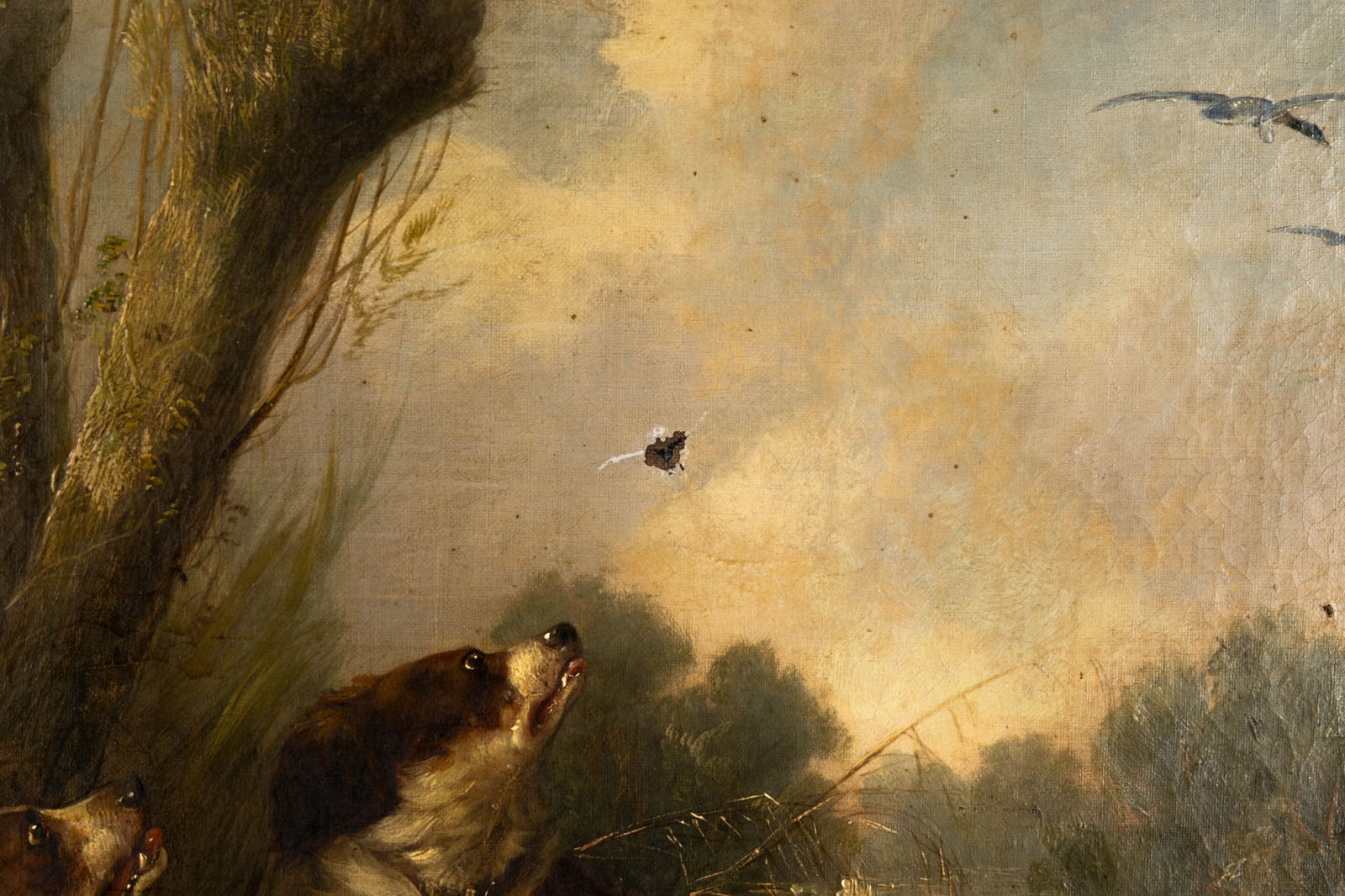 In the manner of Henry SCHOUTEN (1857/64-1927). An antique oil on canvas painting of hunting dogs - 6