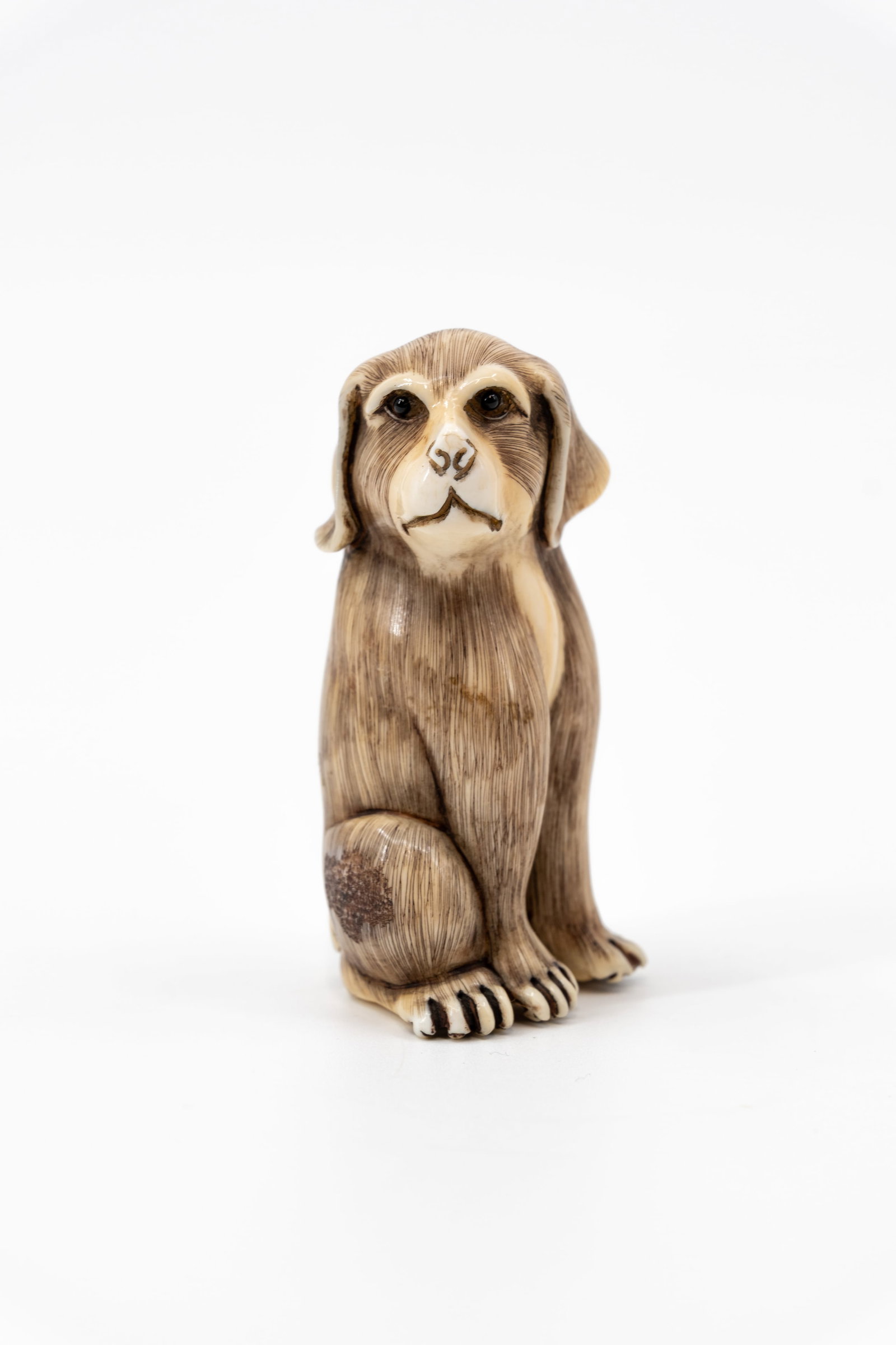 A Japanese finely carved ivory okimono sculpture of a sitting dog: A Japanese finely carved ivory okimono sculpture of a sitting dog with glass eyes. Bottom is signed. Meiji period, 19th century. Comes with European Cites document, for EU shipping only. With number 2
