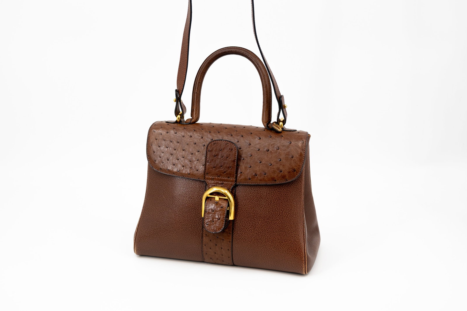A Belgian Delvaux handbag model Brillant in brown ostrich leather (1 of 18)