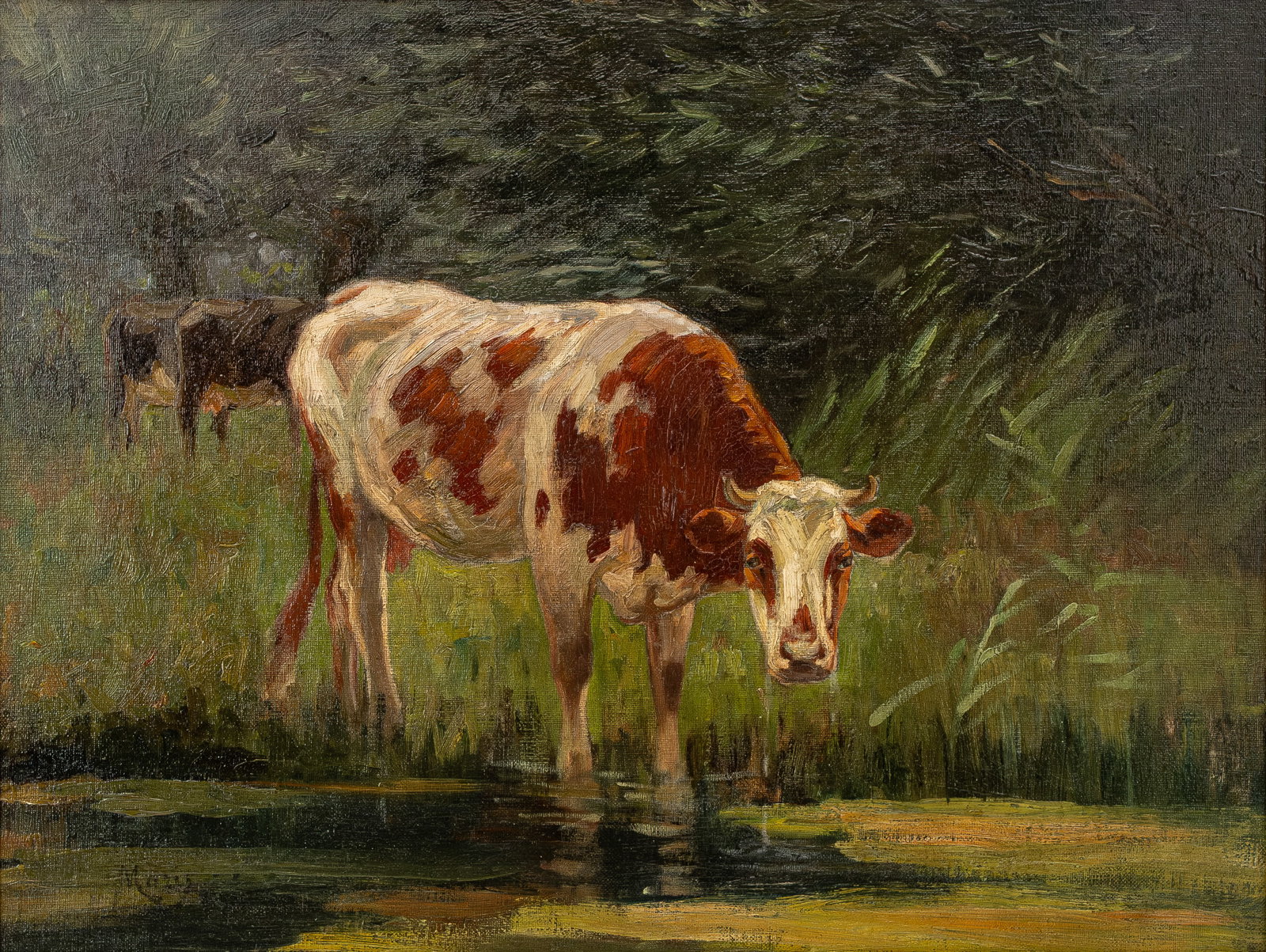Willem MARIS (1844-1910) An antique Dutch oil on canvas painting depicting cows in nature scene (1 of 7)