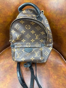 LOUIS VUITTON MINI PALM SPRINGS BACKPACK