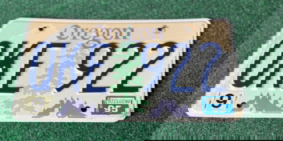 1 X Vintage 1995 Oregon License Plate