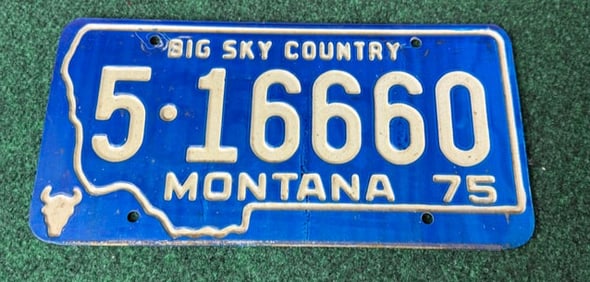 1 X Vintage 1975 Montana License Plate