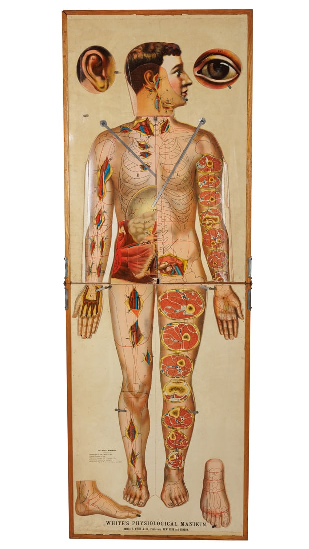 White's Physiological Manikin (New York, ca. 1889) (1 of 7)