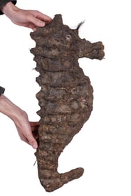 Giant Seahorse Side Show Gaff by Tattoo Artist Gus Wagner (America, ca. 1915) 25 x 11 x 4 in. (63.5