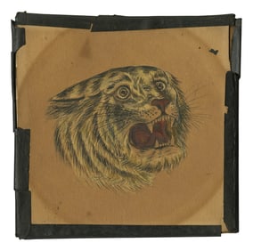 Tiger Head Tattoo Design by George Burchett (London, ca. 1905) 5 1/4 x 5 1/4 in. (13.3 x 13.3 cm.)